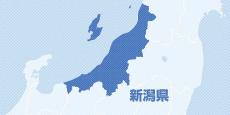 今年もコメ価格高騰継続か…ＪＡ新潟中央会長「下がる見込みがない」、民間在庫量が昨年と同水準