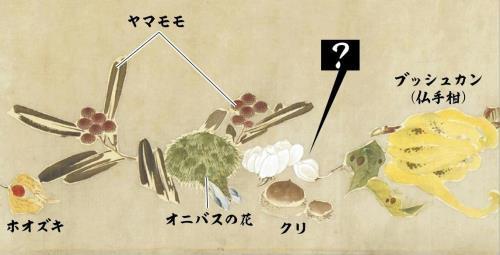 江戸時代の食卓描いた若冲の絵巻、一つだけ残る謎…昨年３月に発見された晩年の大作「果蔬図巻」