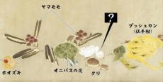 江戸時代の食卓描いた若冲の絵巻、一つだけ残る謎…昨年３月に発見された晩年の大作「果蔬図巻」