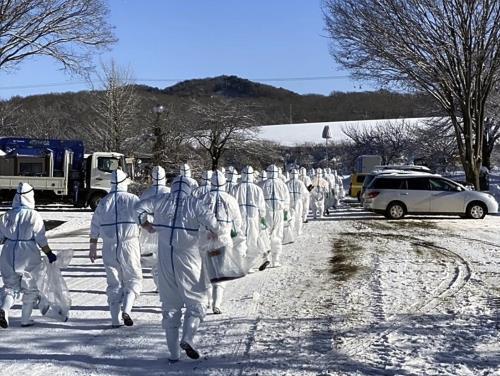 盛岡の養鶏場で鳥インフル、４０万羽の殺処分開始…全国で２６例目