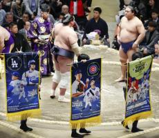 ＭＬＢ東京シリーズＰＲ、初場所に懸賞…大谷翔平や山本由伸らプリント