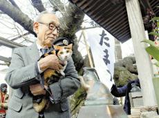 たま駅長ゆかりの和歌山電鉄、「ふく」駅長に三毛猫の「ごたま」就任…トレードマークはかぎ尻尾