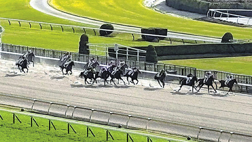 なぜ東京競馬場だけ「左回り」なのか…府中駅からの「アクセス考慮」説が有力、出走レース選択や予想にも影響