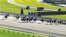 なぜ東京競馬場だけ「左回り」なのか…府中駅からの「アクセス考慮」説が有力、出走レース選択や予想にも影響