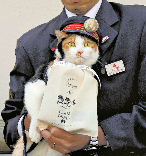 たま・ニタマ・よんたまのイラスト揃い踏み、猫駅長のチョコ販売開始…新「ふく駅長」ごたまがＰＲ