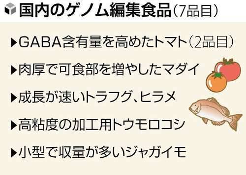 「ゲノム編集食品」届け出制度化から５年…高ＧＡＢＡトマトなど流通も「知らない」９割超