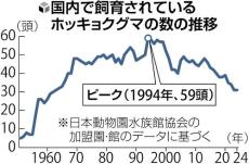 ホッキョクグマのお寒い婚活事情…国内飼育頭数３１頭で近親交配を避けながら、海外受け入れも厳しく