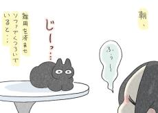 【漫画】ソワソワする愛猫の不思議な行動「可愛すぎ」「尊い」の声続々の話題作　作者に聞く