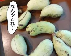 【漫画】いただきものは珍しいフルーツ「なんやこれ？」賞味期限は3日、意外なお味に驚いた!? 作者に聞く