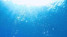 東電が原発処理水を海洋放出　問われるリーダーの対応