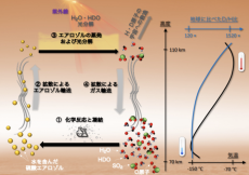 金星での水消失原因を解明へ　高層大気で重水素含む水が大幅に増加　東北大ら